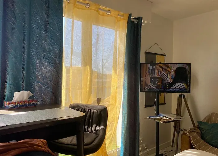 Apartment Cosy De Gaule *